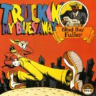 Blind Boy Fuller - Truckin' my blues away (1978)