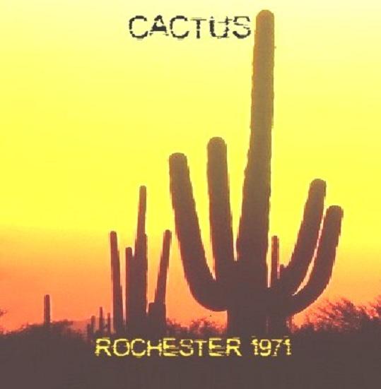 ace cactus album ebay